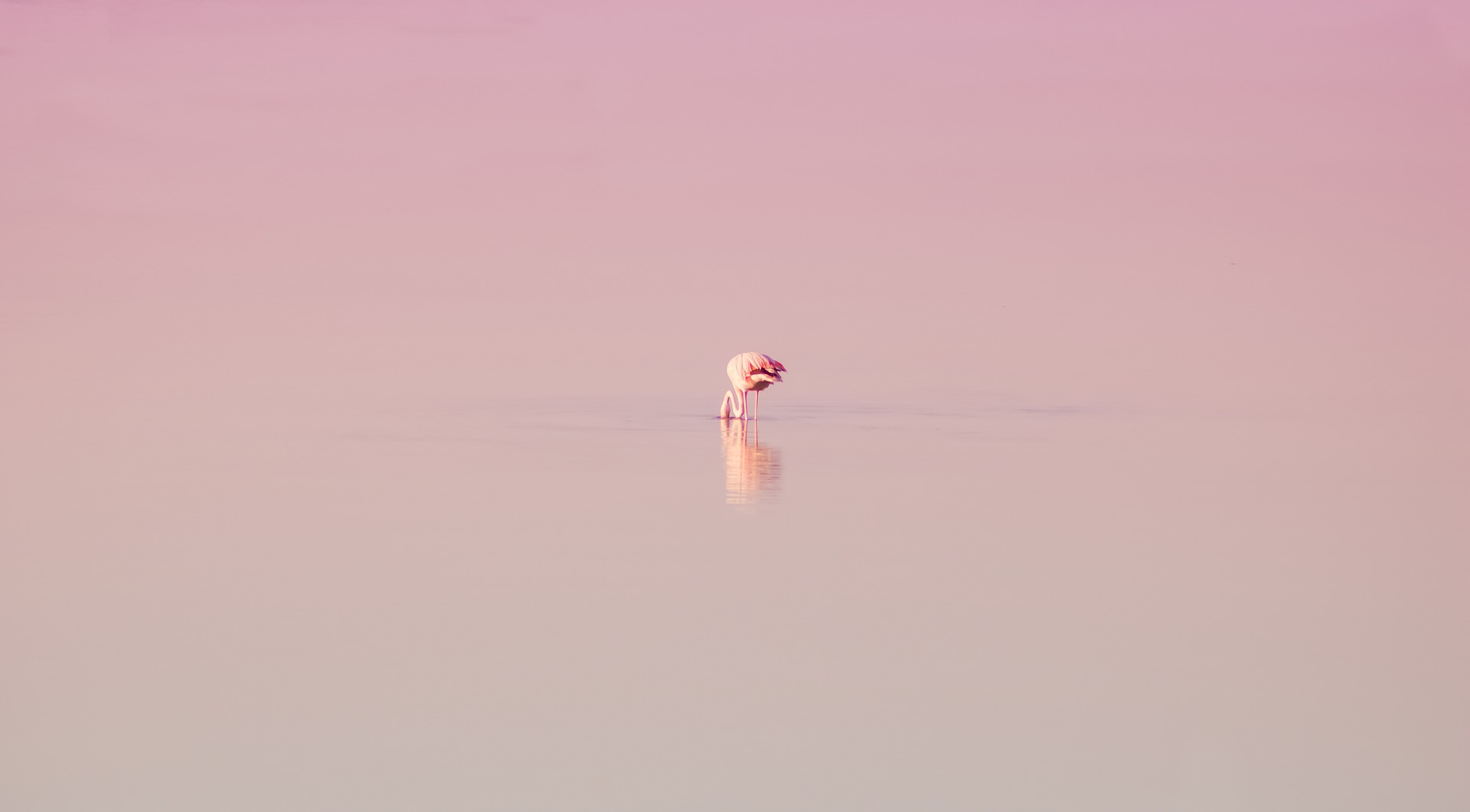 Praktijk Karoena - Intimiteit met je partner